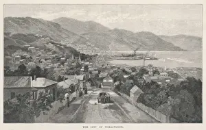 New Zealand / Wellington