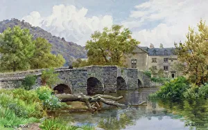 Trunk Prints: Newby Bridge, Lake District, Cumbria