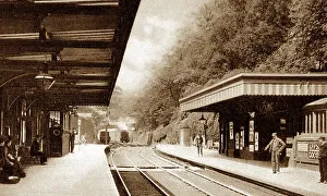 Lyme Prints: Newcastle under Lyme Railway Station early 1900s