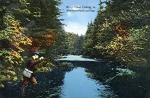 Autumnal Prints: Newfoundland, Canada - River Trout Fishing Date: circa 1910s