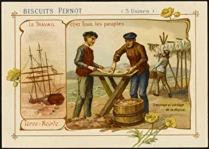 Fishery Prints: Newfoundland Cod