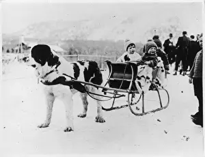 Bobble Prints: Newfoundland & Sleigh
