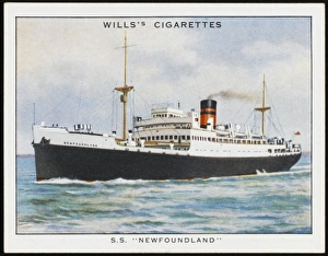 Newfoundland Steamer