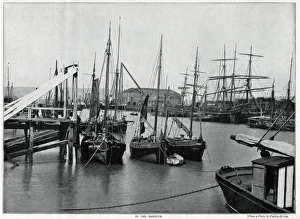 Coasts Collection: Newhaven