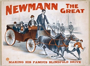 Newmann the Great
