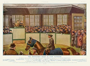 Newmarket Sales