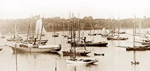 Newport Prints: Newport Harbour, USA