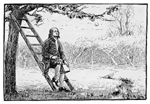 Newton Prints: Newton / Gravitational Law