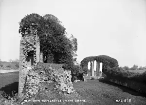 Newtown Trim Castle on the Boyne