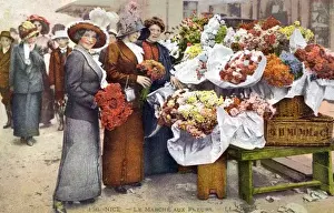 Bunch Prints: Nice, France - Flower Market