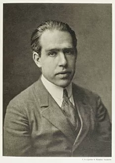 Physicist Gallery: Niels Henrik David Bohr