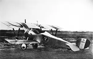Nungesser Prints: Nieuport 23 of French ace Charles Nungesser