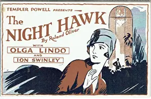 The Night Hawk by Roland Oliver
