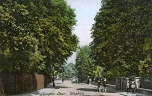 Tree Lined Collection: Nightingale Lane, Clapham South, London, SW12