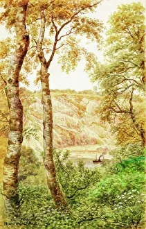 Birch Prints: Nightingale Valley, Clifton, Bristol