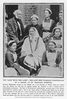 Nightingale in Last Year