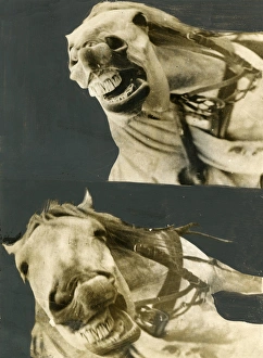 Altered Gallery: A Nightmare
