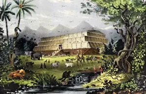 Noahs Ark