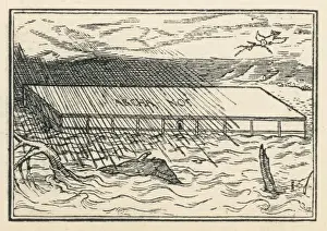 Noahs Prints: Noahs Ark (Holbein)