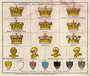 Reproduced Gallery: Noblefolks Coronets