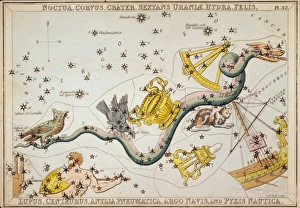 Noctua, Corvus, Crater, Sextans Urani?, Hydra, Felis, Lupus Noctua, Corvus, Crater, Sextans Urani?, Hydra, Felis, Lupus