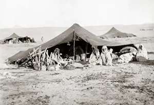 Algerian Prints: Nomad camp, Algerian Sahara, circa 1890
