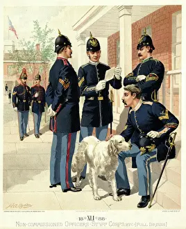 Ogden Prints: Non-Commissioned Officers, Staff Corps, etc, Full Dress