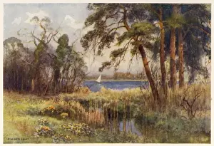 Norfolk Broads