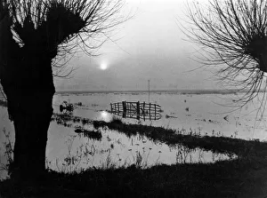 Anglia Gallery: Norfolk Broads Floods