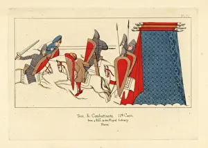 Nasal Prints: Norman cavalry in combat, with a military