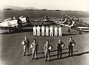 North American Harvards