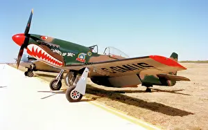 Mustang Prints: North American P-51 Cavalier Mustang C-GMUS What's Up Doc