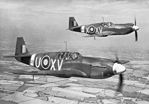 Warbird Prints: North American P-51A Mustang