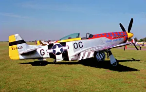 Mustang Prints: North American P-51D Mustang N11T Damn Yankee