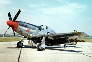 Images Dated 5th August 2015: North American P-51D Mustang -the adoption of the Rolls
