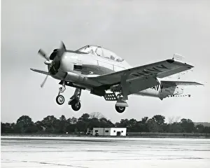Trojan Prints: North American T-28C Trojan of the US Navy, 140053, at t?