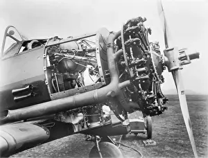 North American T-6 Harvard