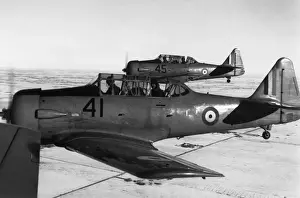 North American T-6 Harvard