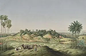Junghuhn Prints: North coast of Java, Indonesia