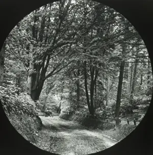 North ripps Lane