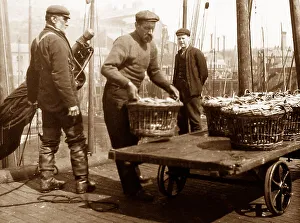 North Shield herring fishing