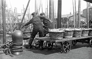 Images Dated 7th November 2018: North Shields Landing the Herring early 1900s