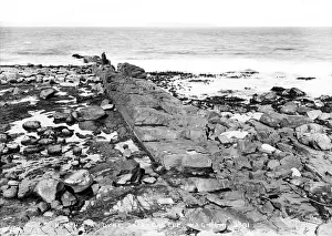 North Star Dyke, Ballycastle