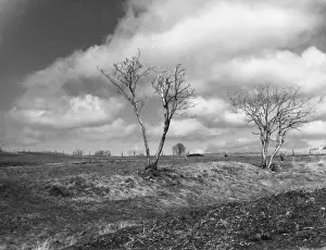 North Yorkshire Moors