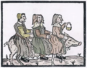 Witches Collection: Northamptonshire witches riding a pig