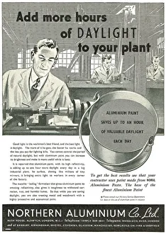 Paste Prints: Northern Aluminium - NORAL Aluminium Paste Paint