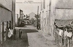 Senegalese Gallery: Northern district in Saint-Louis (Ndar), Senegal