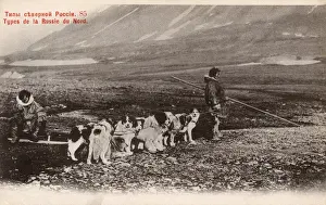 Tundra Prints: Northern Russia - Siberia - Dog Sled Team