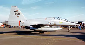 Northrop F-5B Freedom Fighter 909
