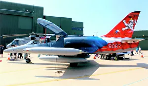 Svizra Prints: Northrop F-5E Tiger II J-3090